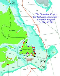 ccfirp.jpg (22578 bytes)