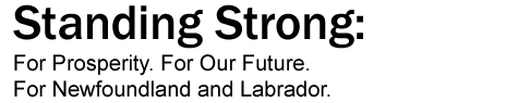 Budget 2011 - Standing Strong: For Prosperity. For Our Future. For Newfoundland and Labrador.