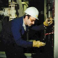 p10-3.jpg (29127 bytes)