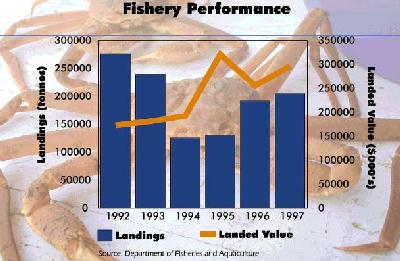 p8-1.jpg (46767 bytes)